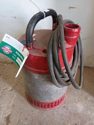 Imagem leilão