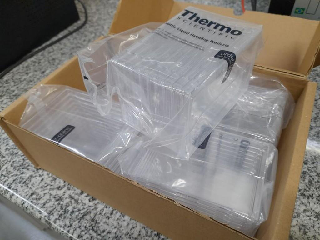 Imagem leilão