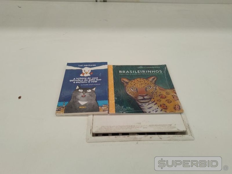 Imagem leilão