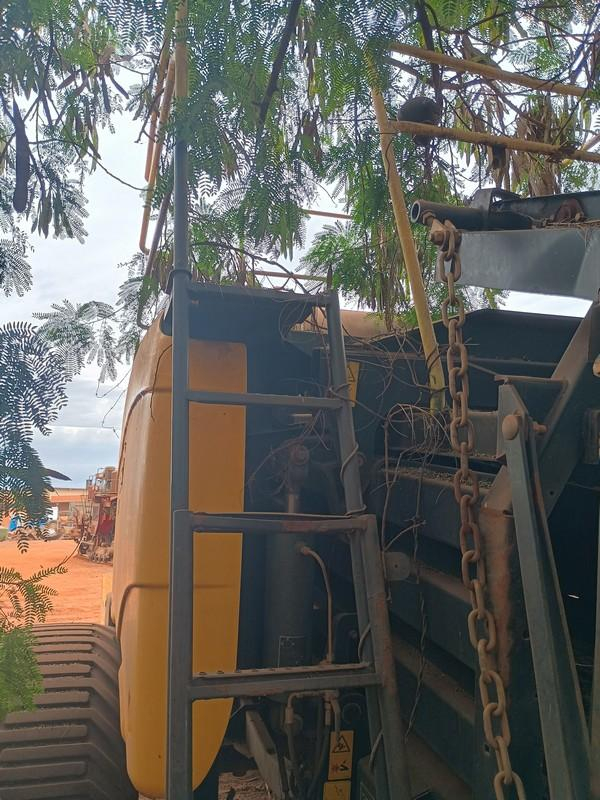 Imagem leilão