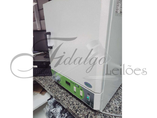 Imagem leilão