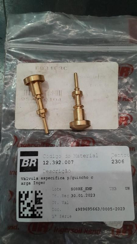 Imagem leilão
