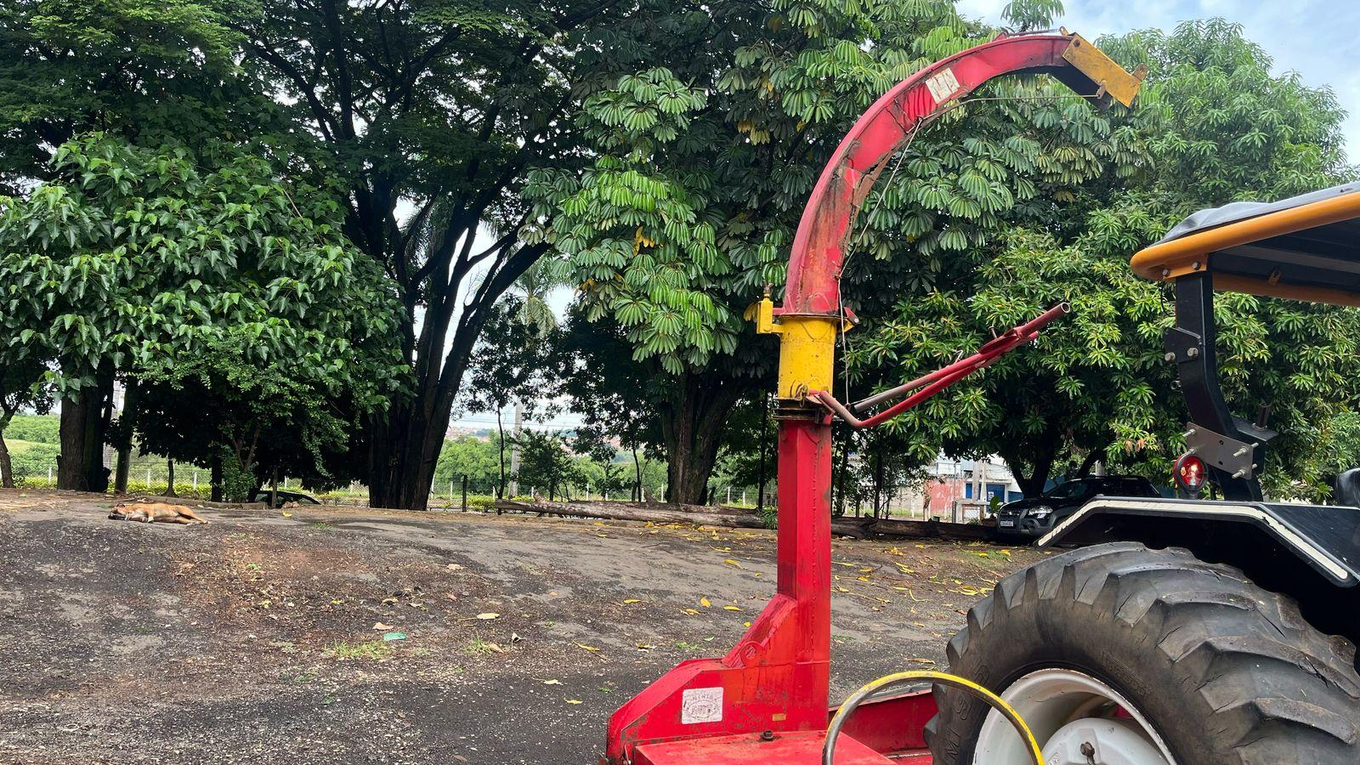Imagem leilão